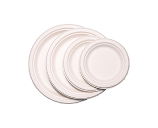 Bagasse plates